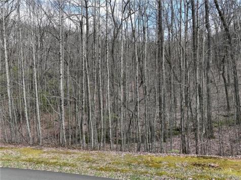 64 Street Andrews Way Ellijay GA 30536