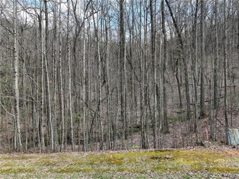 64 Street Andrews Way Ellijay GA 30536