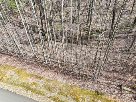 64 Street Andrews Way Ellijay GA 30536