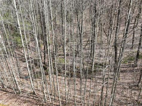 64 Street Andrews Way Ellijay GA 30536