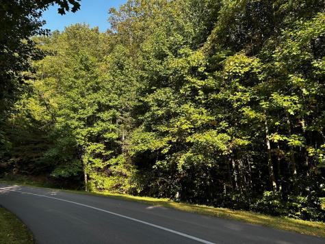 64 Street Andrews Way Ellijay GA 30536