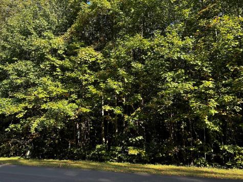 64 Street Andrews Way Ellijay GA 30536