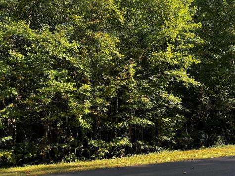 64 Street Andrews Way Ellijay GA 30536