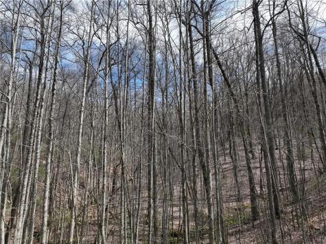 64 Street Andrews Way Ellijay GA 30536