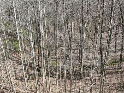 64 Street Andrews Way Ellijay GA 30536