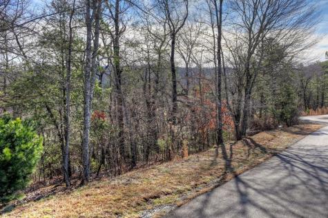 112 Fawn Way Mineral Bluff GA 30559