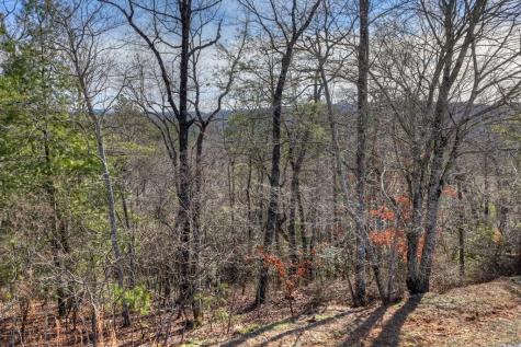 112 Fawn Way Mineral Bluff GA 30559
