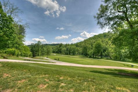 112 Fawn Way Mineral Bluff GA 30559