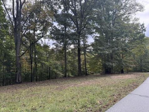 106 Smokerise Drive Hayesville NC 28904