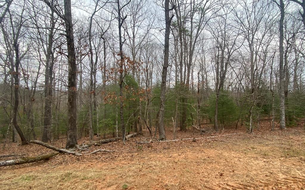 Lot 8 Tomahawk Trail Blairsville GA 30512