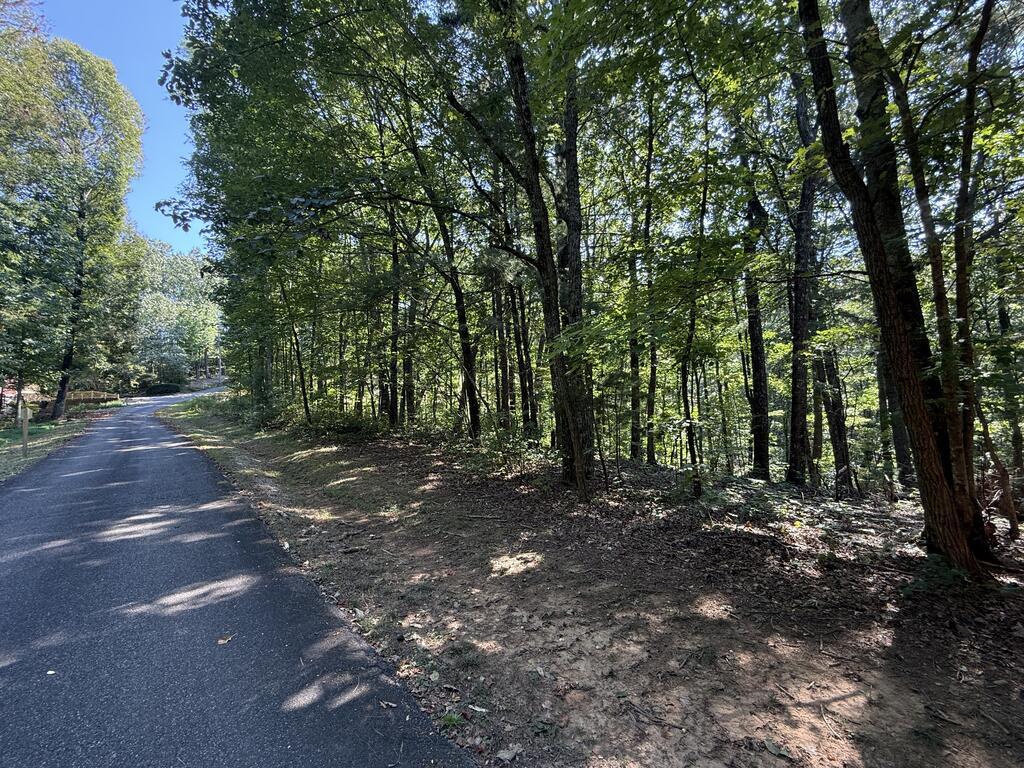 127 Green Cabin Way Talking Rock GA 30175