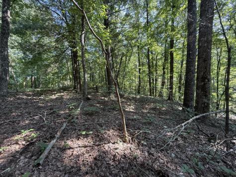 127 Green Cabin Way Talking Rock GA 30175