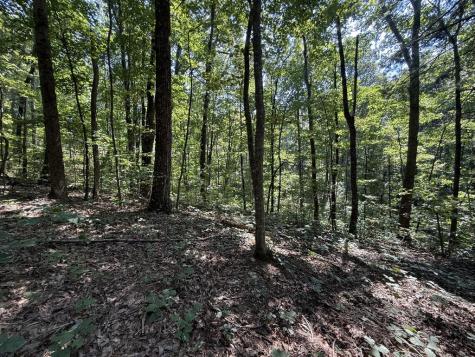 127 Green Cabin Way Talking Rock GA 30175