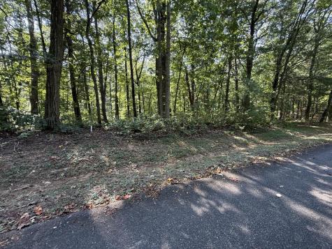 127 Green Cabin Way Talking Rock GA 30175