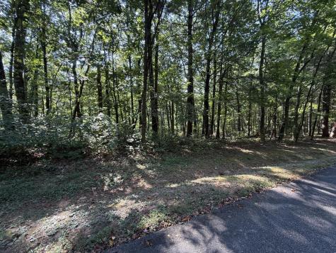 127 Green Cabin Way Talking Rock GA 30175