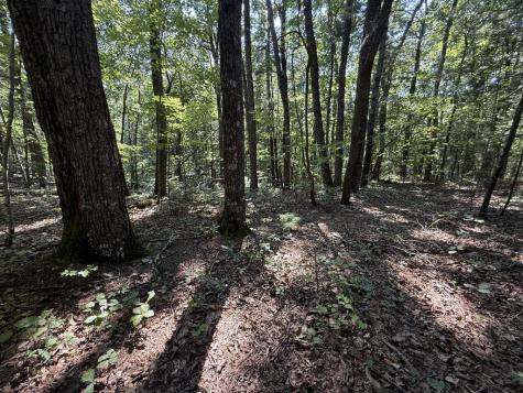 127 Green Cabin Way Talking Rock GA 30175