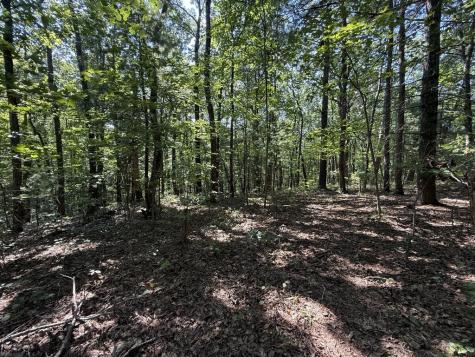 127 Green Cabin Way Talking Rock GA 30175