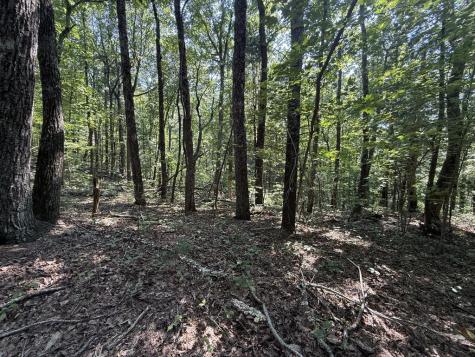 127 Green Cabin Way Talking Rock GA 30175