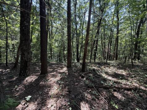 127 Green Cabin Way Talking Rock GA 30175