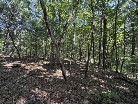 127 Green Cabin Way Talking Rock GA 30175