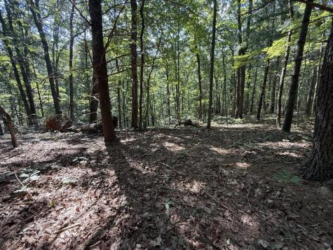 127 Green Cabin Way Talking Rock GA 30175