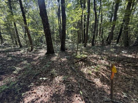 127 Green Cabin Way Talking Rock GA 30175