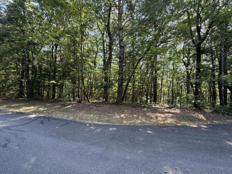 127 Green Cabin Way Talking Rock GA 30175