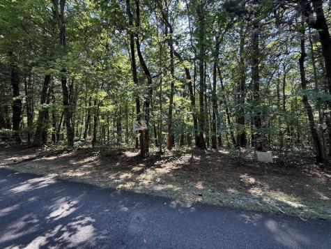 127 Green Cabin Way Talking Rock GA 30175