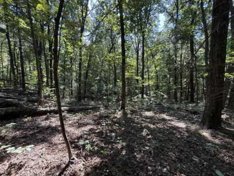 127 Green Cabin Way Talking Rock GA 30175