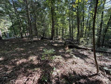 127 Green Cabin Way Talking Rock GA 30175