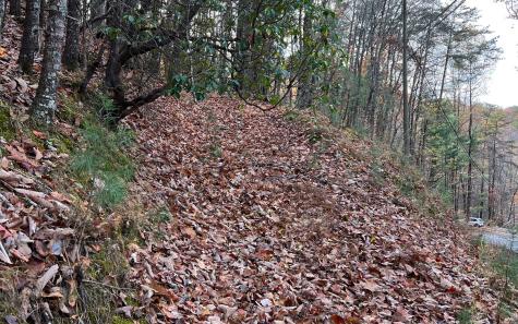 J-214 Walnut Mountain Road Ellijay GA 30536