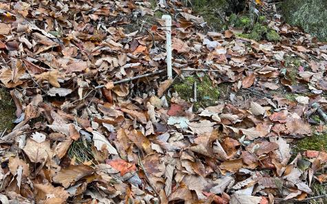 J-214 Walnut Mountain Road Ellijay GA 30536