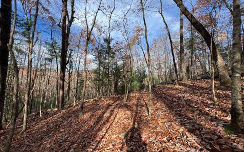 J-214 Walnut Mountain Road Ellijay GA 30536