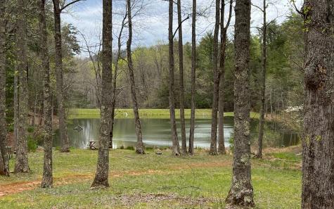 J-214 Walnut Mountain Road Ellijay GA 30536