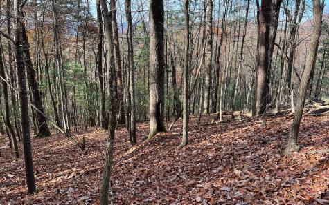 J-214 Walnut Mountain Road Ellijay GA 30536