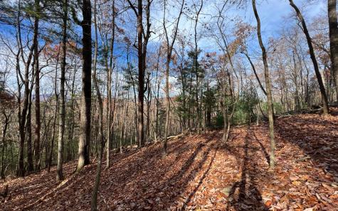 J-214 Walnut Mountain Road Ellijay GA 30536