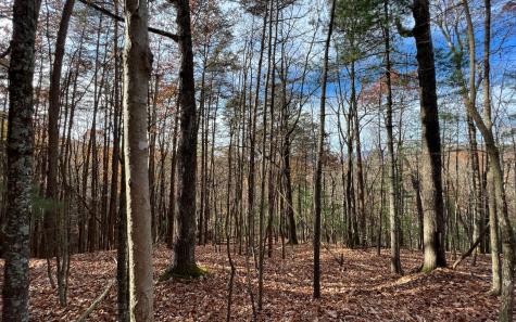 J-214 Walnut Mountain Road Ellijay GA 30536