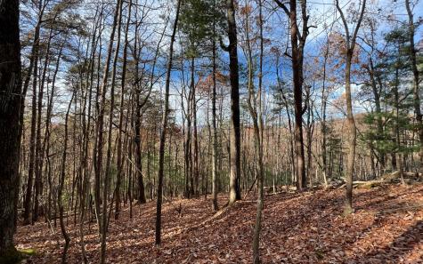 J-214 Walnut Mountain Road Ellijay GA 30536