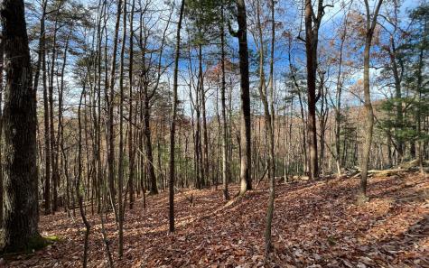 J-214 Walnut Mountain Road Ellijay GA 30536