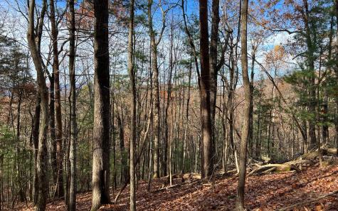 J-214 Walnut Mountain Road Ellijay GA 30536