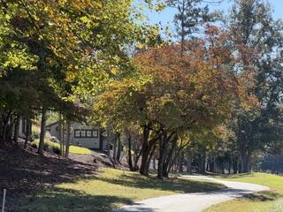 Lot 144 Hickory Way Mineral Bluff GA 30559