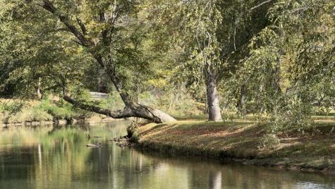 Lot 144 Hickory Way Mineral Bluff GA 30559