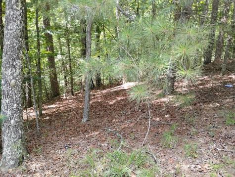 0 Crystal Lane Ellijay GA 30540
