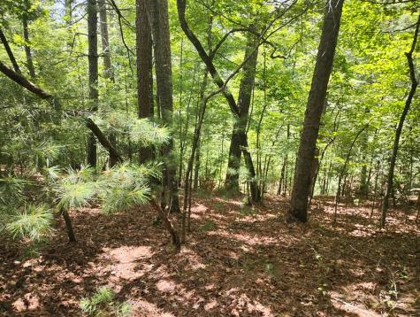 0 Crystal Lane Ellijay GA 30540