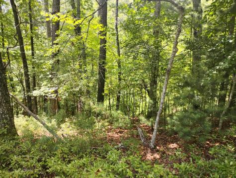 0 Crystal Lane Ellijay GA 30540
