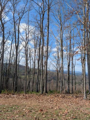 Lot 91 Winding Ridge Blairsville GA 30512