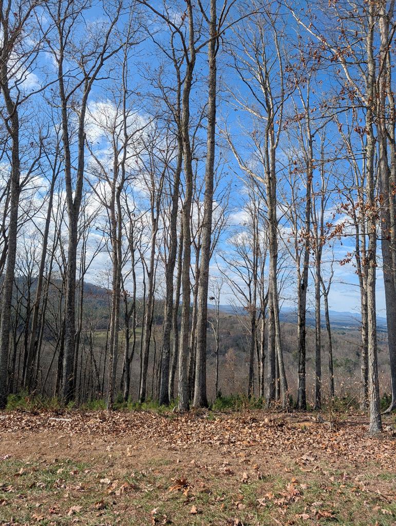 Lot 91 Winding Ridge Blairsville GA 30512