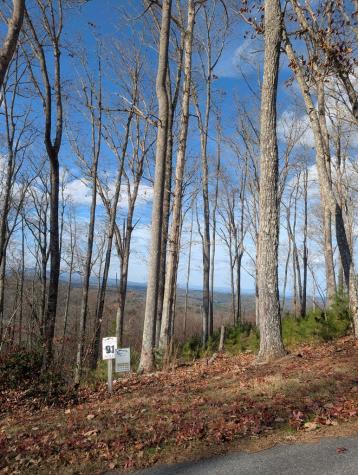 Lot 91 Winding Ridge Blairsville GA 30512