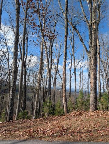 Lot 91 Winding Ridge Blairsville GA 30512