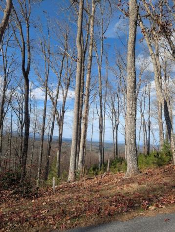Lot 91 Winding Ridge Blairsville GA 30512